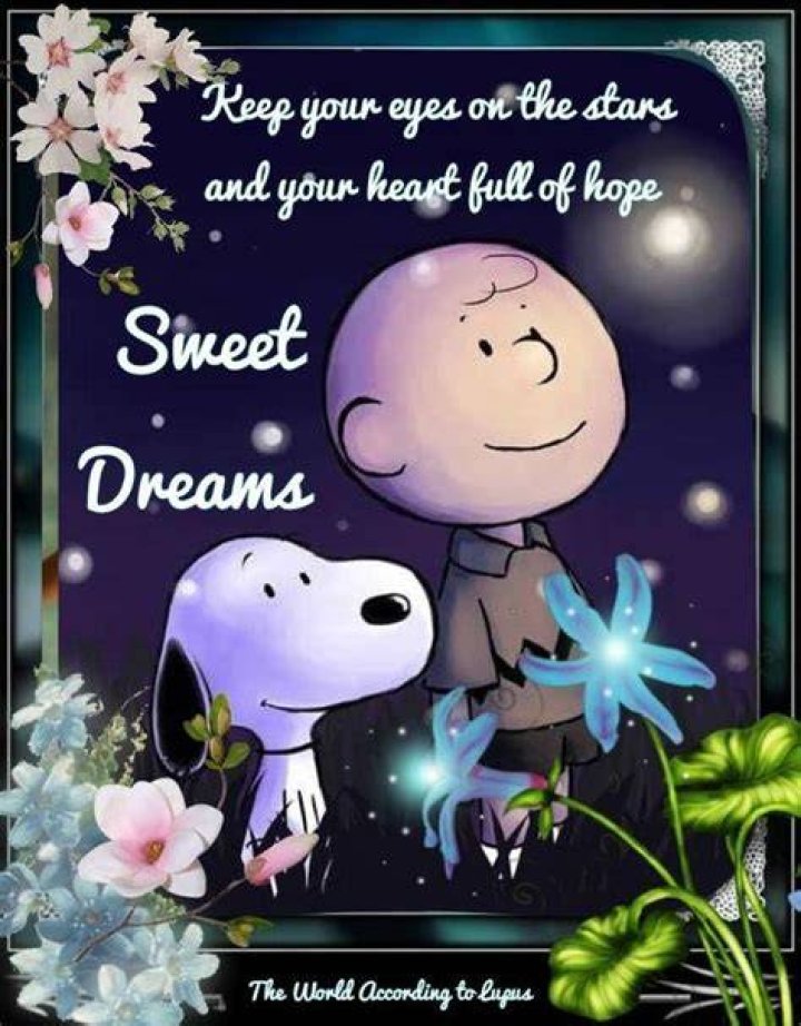 Good Night Sweet Dreams Pictures, Photos, and Images for Facebook, Tumblr, Pinterest, and Twitter