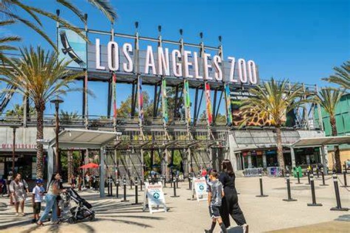 GREATER LOS ANGELES ZOO ASSOCIATION’S ANNUAL “BEASTLY BALL” GOES