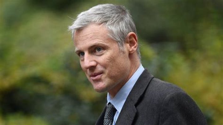 Green campaigner Lord Goldsmith loses environment job BBC News