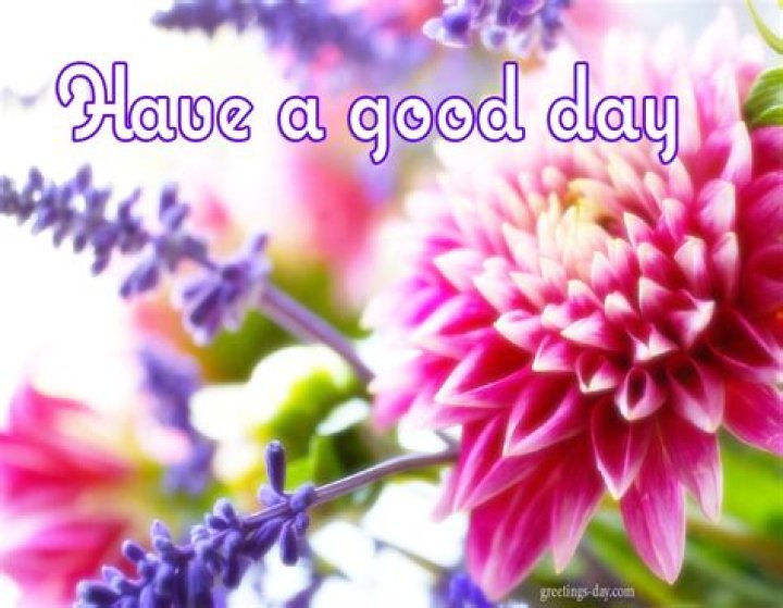 Greeting cards for every day November 2015