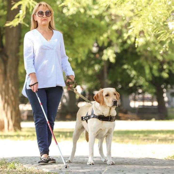 Guide Dogs for the Blind client Aria Mia&hellip; Guide Dogs for the Blind