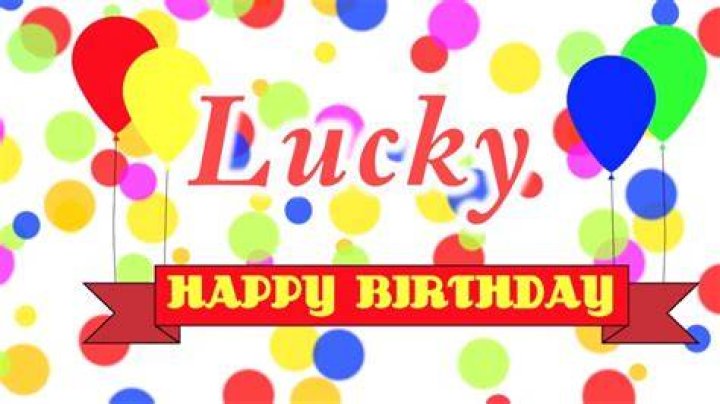 Happy Birthday Lucky Song YouTube