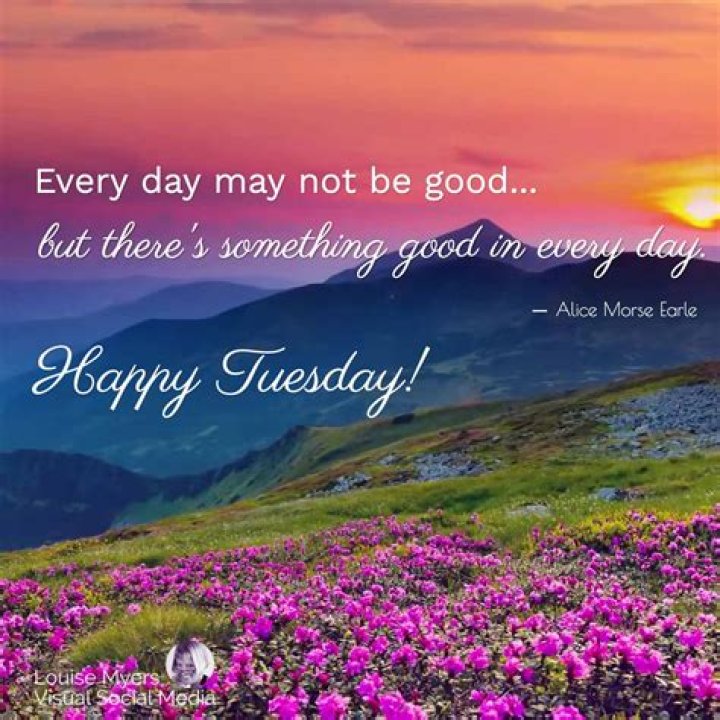 Happy Tuesday Positive Quote Happy tuesday quotes, Tuesday quotes good morning, Tuesday quotes