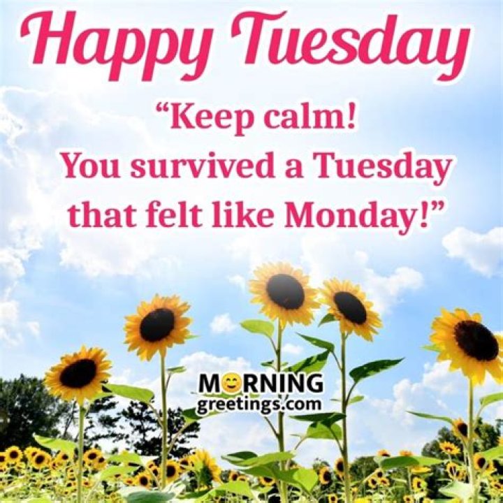Happy Tuesday Quotes 220+ Positive Quotes To Start Your Day