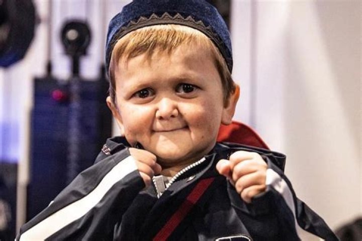 Hasbulla Magomedov Net Worth What is Hasbulla Famous for? The Tough