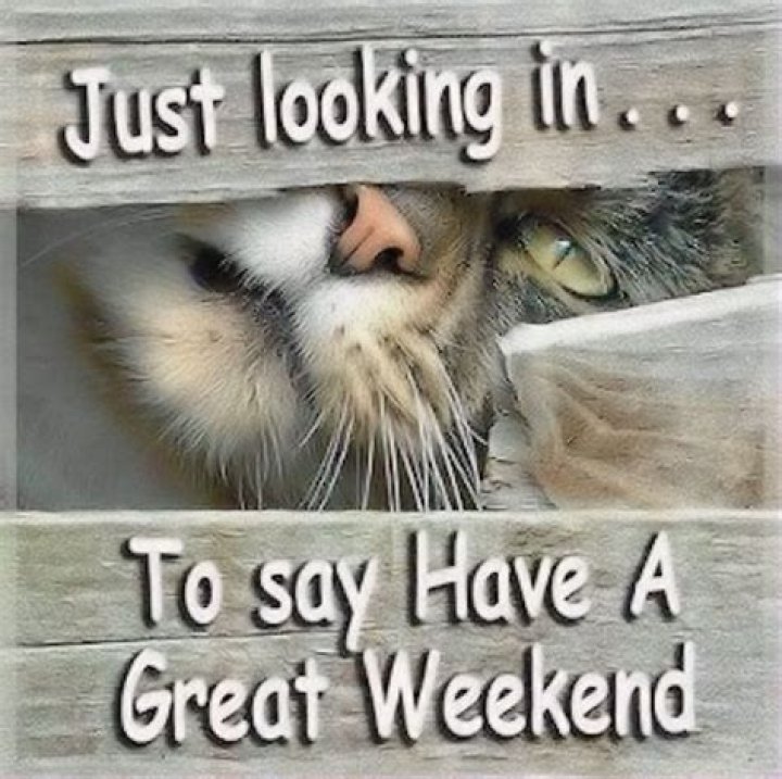 Have A Great Weekend Pictures, Photos, and Images for Facebook, Tumblr, Pinterest, and Twitter