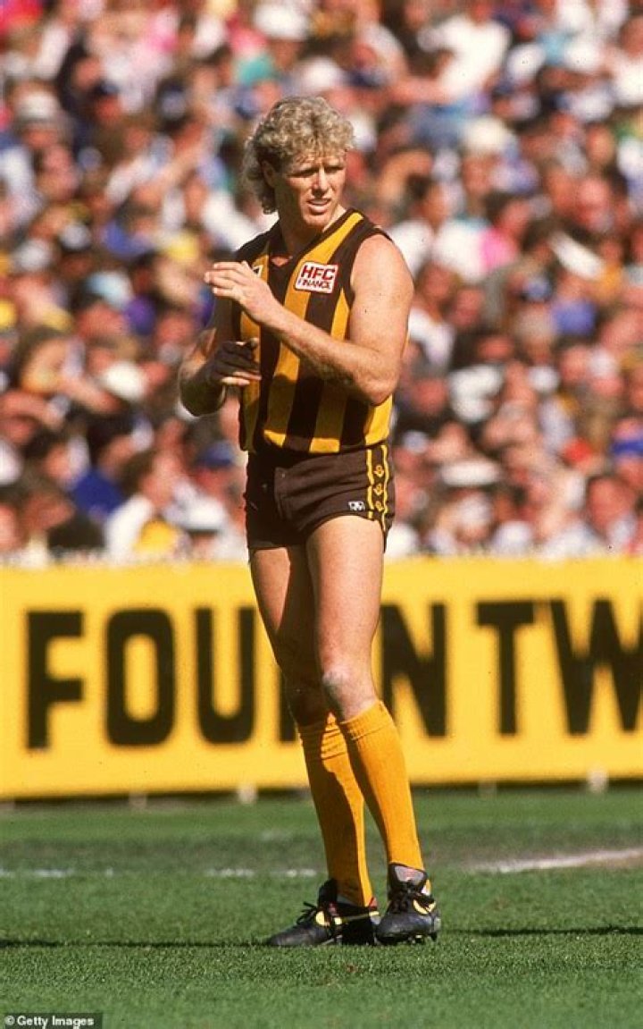 Hawks great Dermott Brereton in court stoush with business partner over