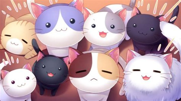 HD Anime Cat Background