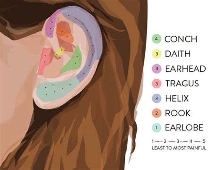 Helix Piercing Guide Healing, Pain, Cost and Jewlery