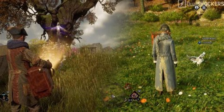 Hogwarts Legacy How To Catch A Phoenix Pet & Get More Phoenix Feathers