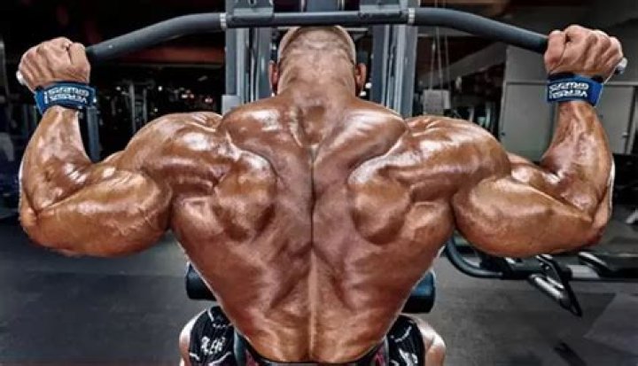 How Did Big Ramy Build His Ripped Back? Everything You Need To Know