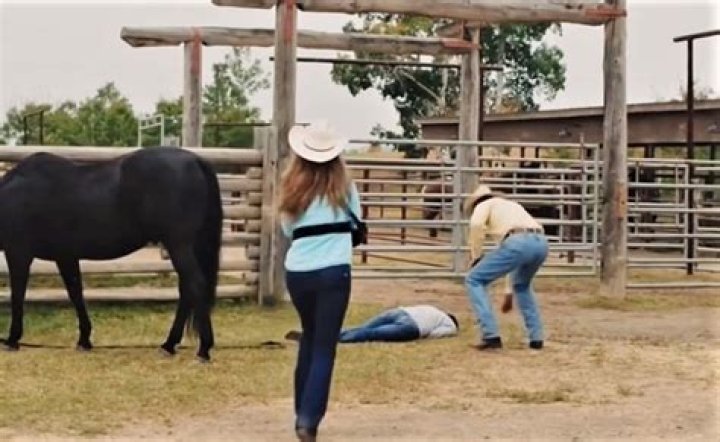 How Does Ty Borden Die on Heartland?