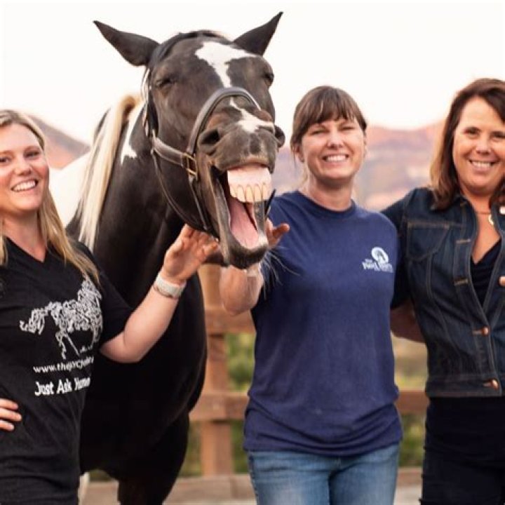 How Horses Helped Jaycee Lee Dugard Move on After Her Abduction Parade Pets