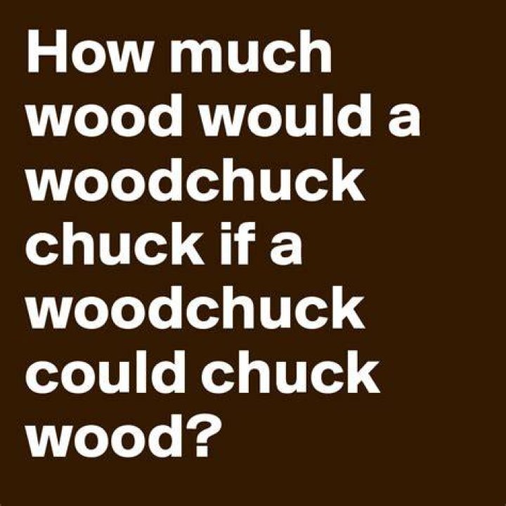 How much wood would a woodchuck chuck if... Drawception