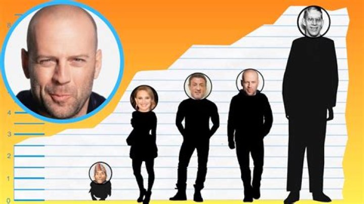 How Tall Is Bruce Willis? Height Comparison! YouTube