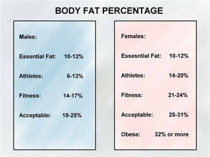 How To Count Body Fat payubro