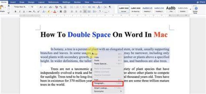 How to Double Space in Word 4 Quick Methods Master Data Skills + AI