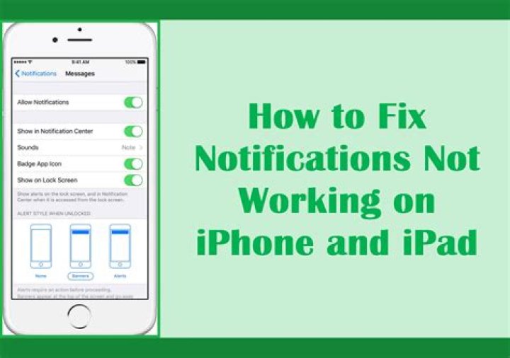 How to Fix Notifications Not Working on BeReal