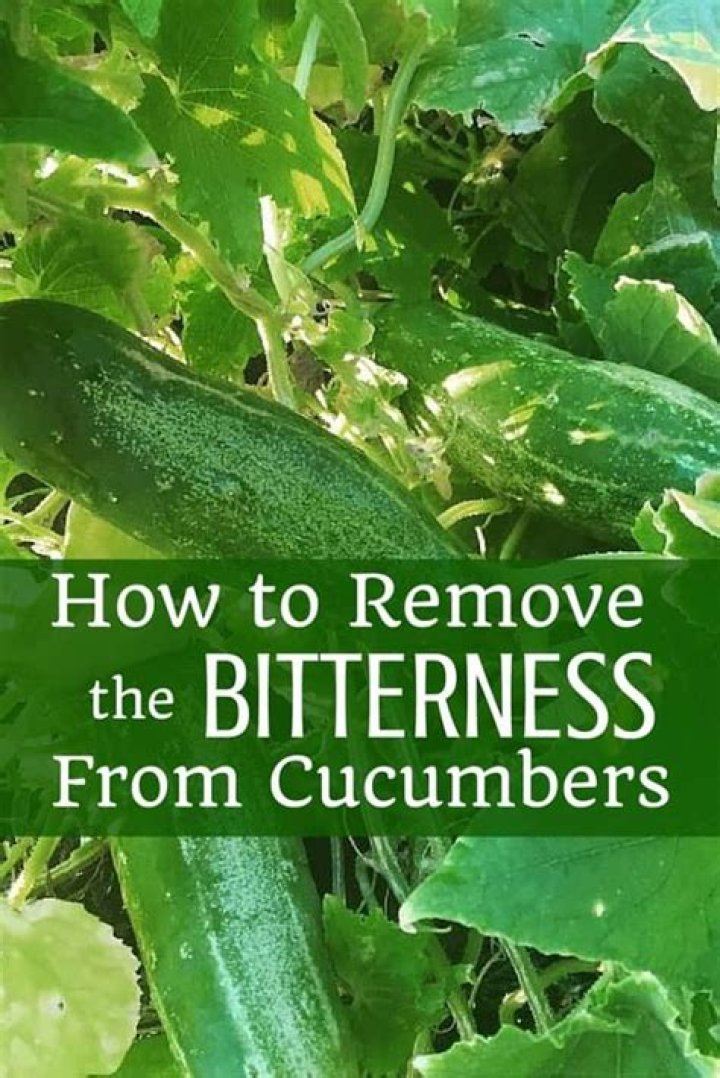 How to Remove the Bitterness From Onions / 5Minute Crafts