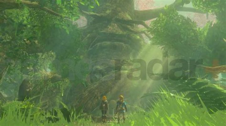 How To Solve The Lost Temple Water Harp Puzzle In Remnant 2