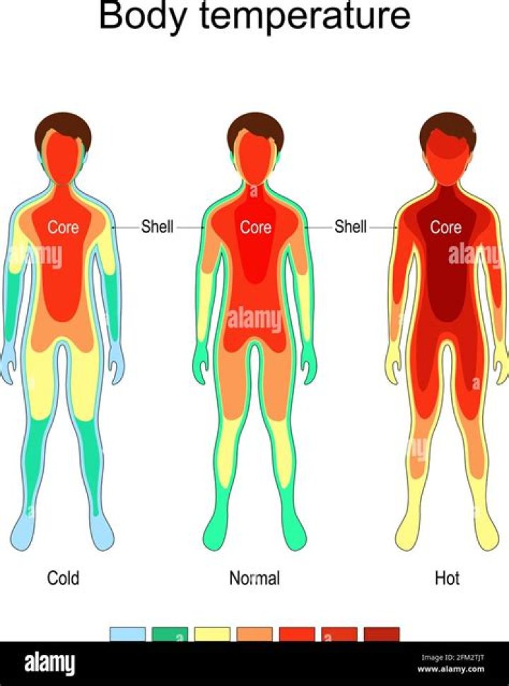 Human Body Temperature Range / Human Body Temperature Fever, Normal