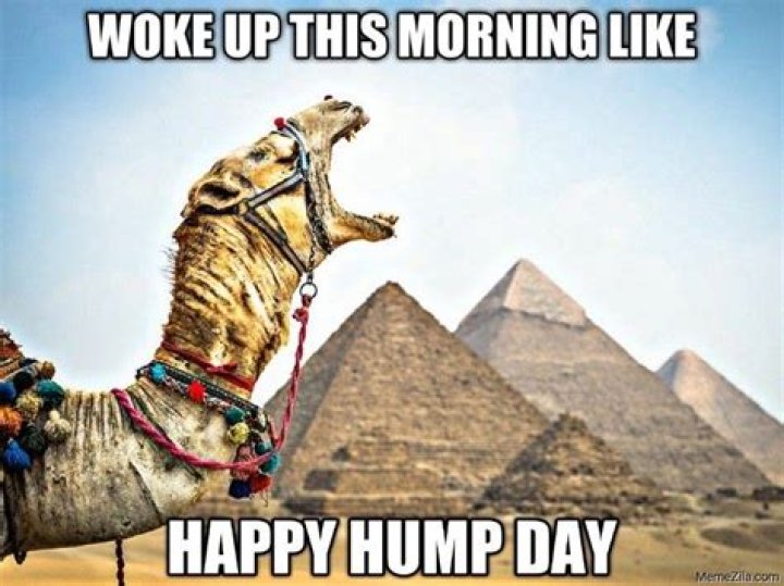 Hump Day Memes to Brighten Your Wednesday