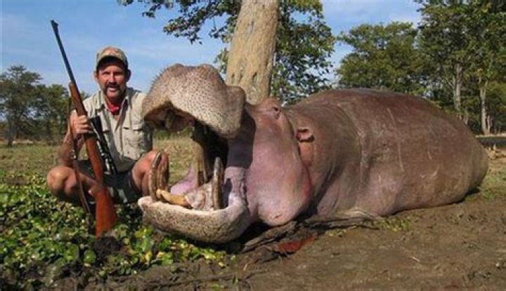 Hunting Big Game Why People Kill Animals for Fun Live Science