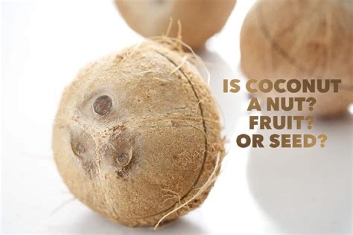 Is coconut a nut? The Honest Spoonful