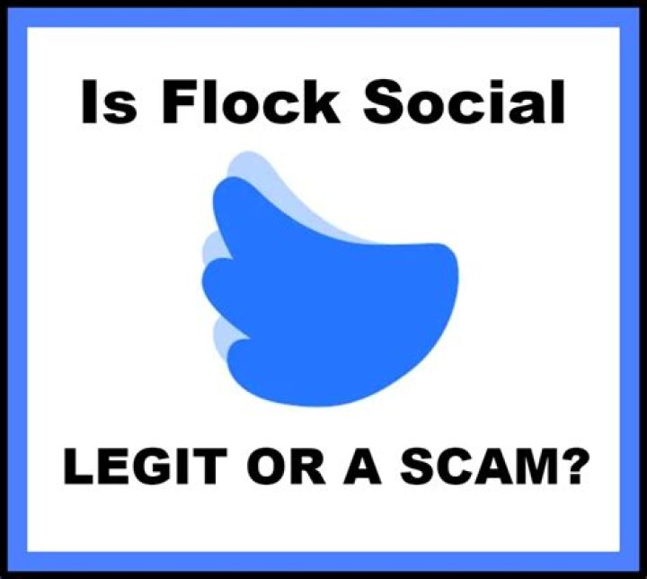 Is Flock Social legit or a scam? We attempt to verify if Flock Social is a real company or not