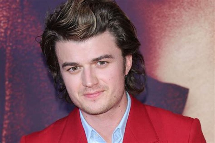 Is Joe Keery Gay? Did He Ever Reveal That?