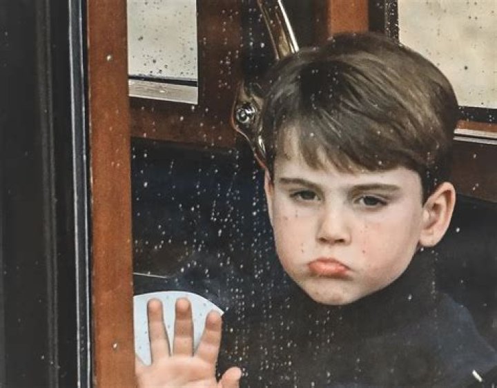 Is Prince Louis Autistic? Health Update