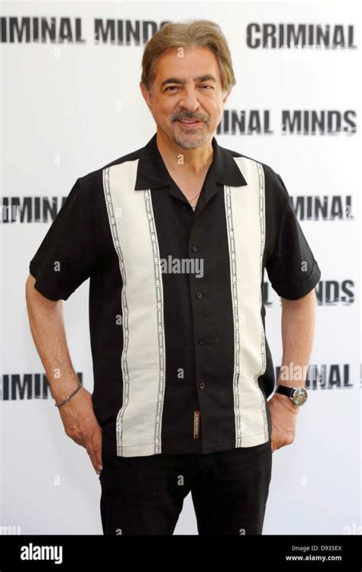 Joe Mantegna attends the photocall for the TVshow 'Criminal Minds' at