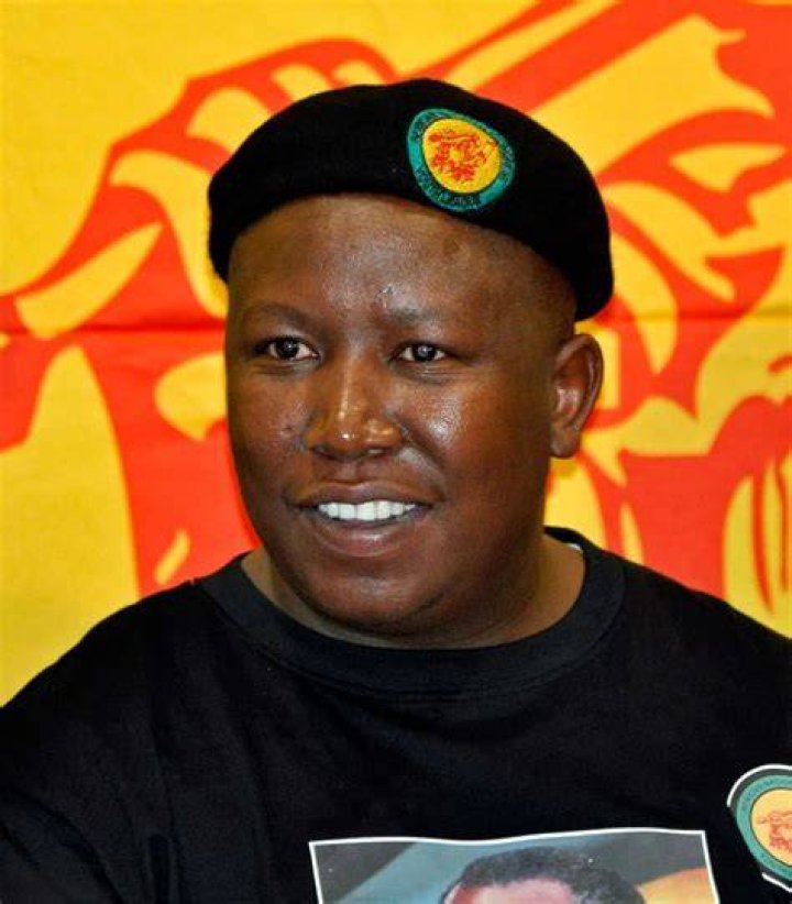 Julius Malema / They Didn T Bring Anything Says Malema As Eff Shuts