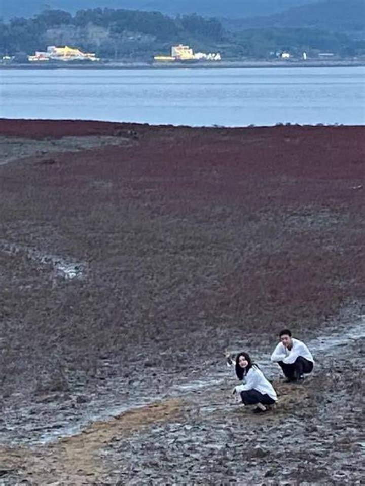Kim Ji Won Dan Son Sok Ku Jadi Tokoh Utama Begini Ulasan Drama Korea