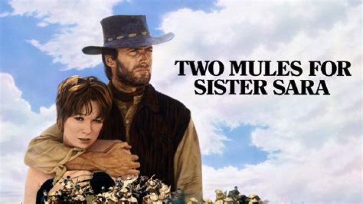 Lily Adams &mdash; The Movie Database (TMDb)