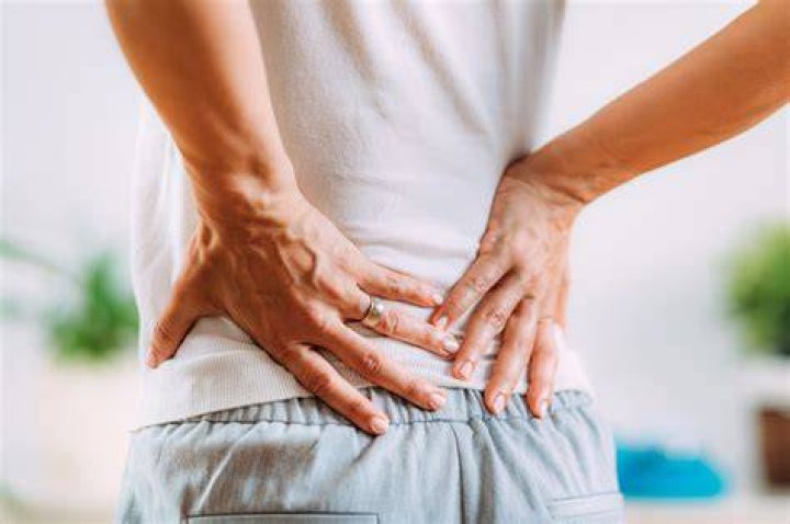 Lower Left Back Pain from Internal Organs
