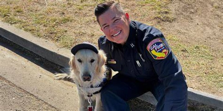 &lsquo;Emergency!&rsquo;s Michael Norell, Passes Away &mdash; He Lived in Assisted Living Facility before Death