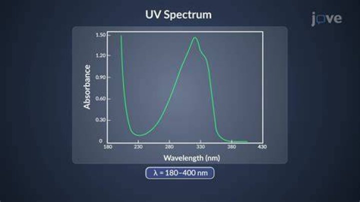 ‘Love on the Spectrum U.S.’ Cast Where Are They Now? Steve, Abbey