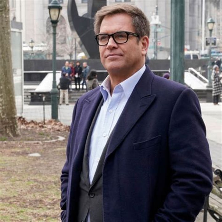 &lsquo;NCIS&rsquo; Star Michael Weatherly &lsquo;Chased&rsquo; His Future Wife & She Didn&rsquo;t