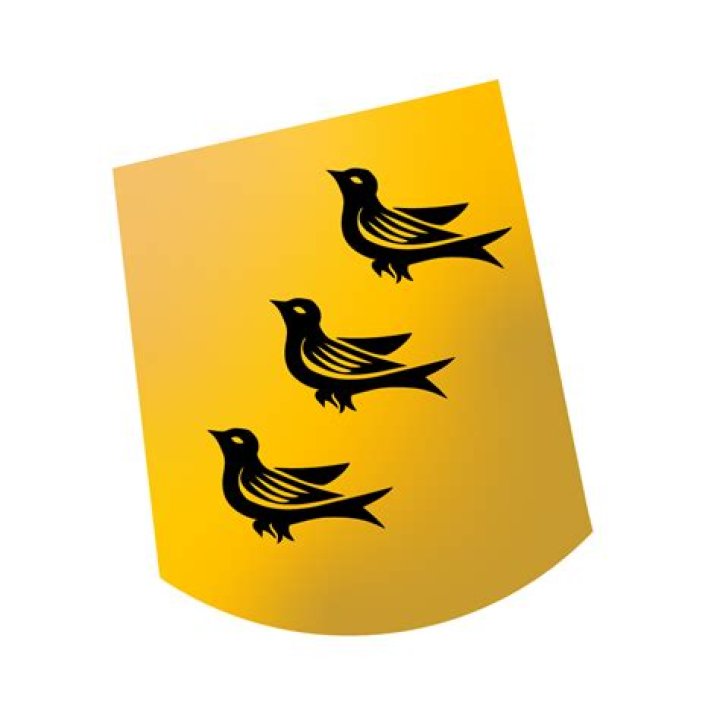 Martlet Medium
