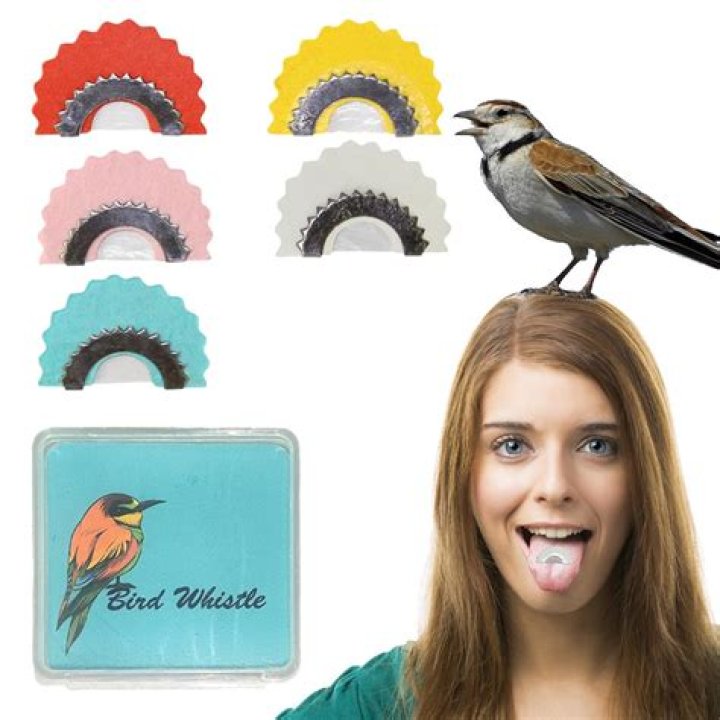 Master Whistling with Your Tongue StepbyStep Guide & Top Tips