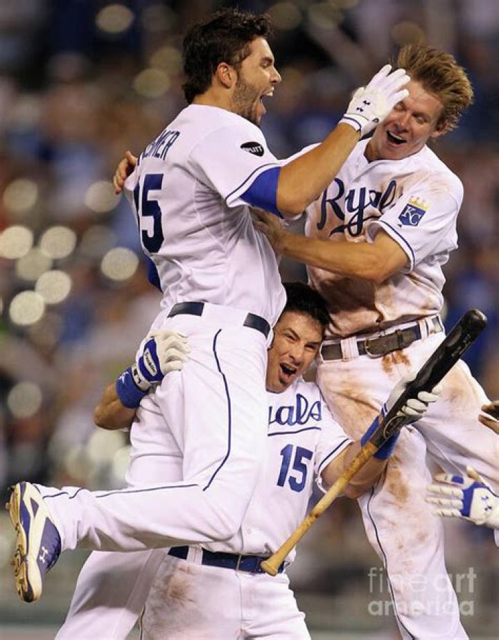 Matt Treanor Los Angeles Dodgers Major League Baseball Yahoo! Sports
