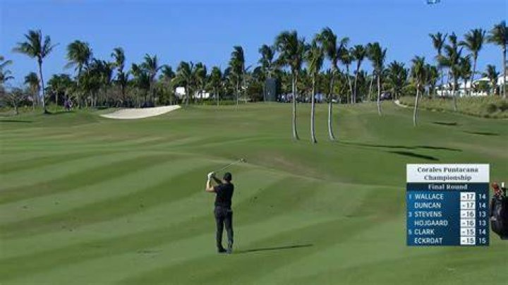 Matt Wallace uses late birdie run to capture first PGA TOUR title