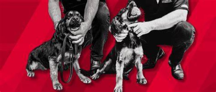Meet The Termite Detection Dog, Emmy / Richardson Strata Management