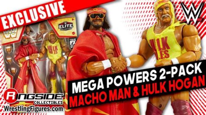 Mega Powers, ultimate Warrior, hulk Hogan, randy Savage, musician