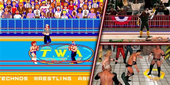 MetaFour Pro Wrestling Fandom