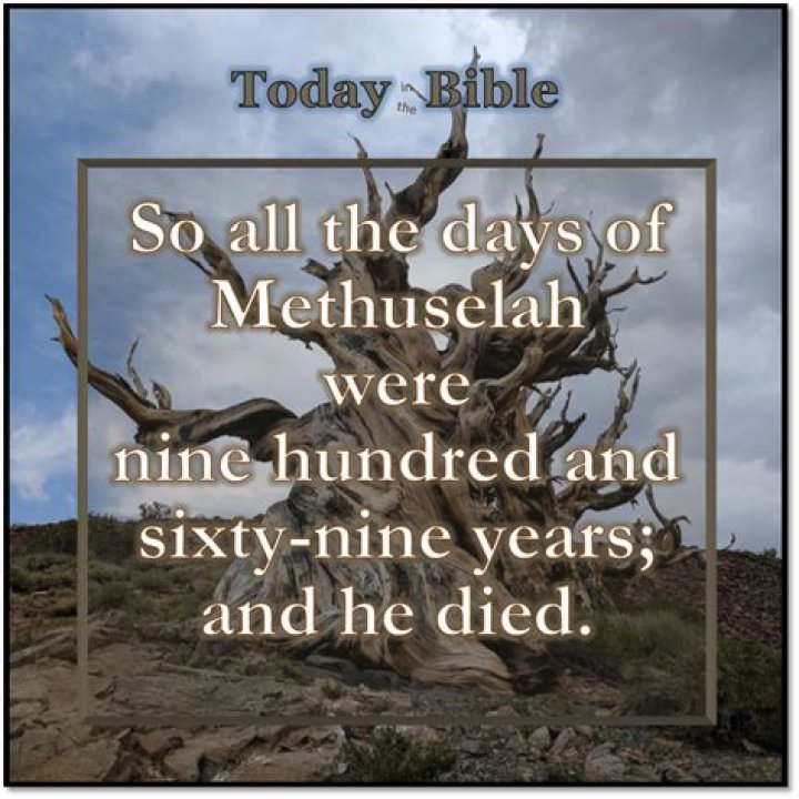 Methuselah in the Bible Oldest Man Who Ever Lived