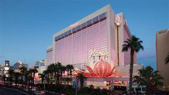 MJF Still In Las Vegas, DON Status Still Unknown