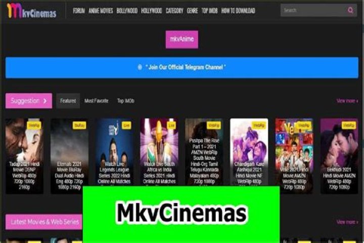 Mkvcinemas 2024 Download Bollywood, Hollywood Movies