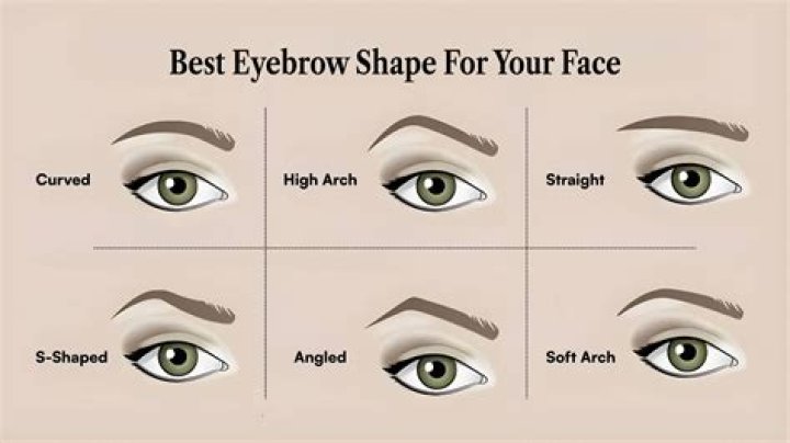 Morning Tweets and Arching Eyebrows A Reporter’s Story The